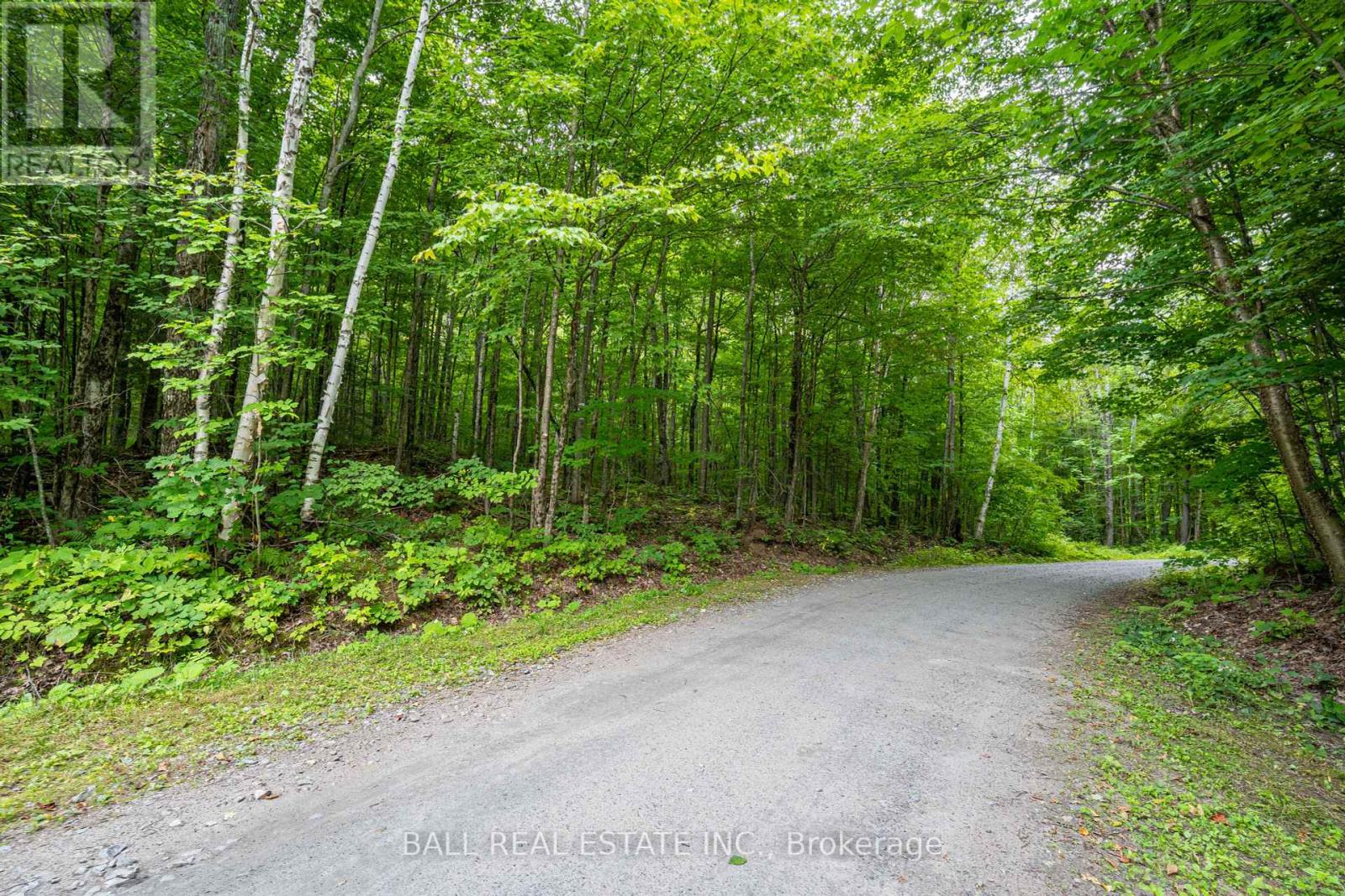 237 West Bay Lane, Bancroft, Ontario  K0L 1C0 - Photo 12 - X6768598