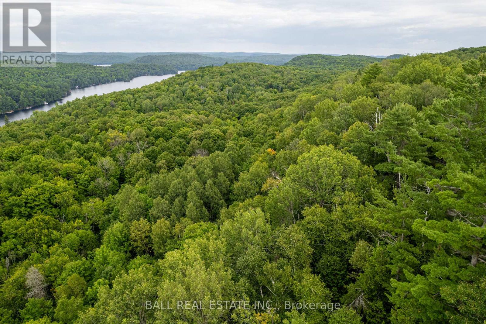 237 West Bay Lane, Bancroft, Ontario  K0L 1C0 - Photo 17 - X6768598