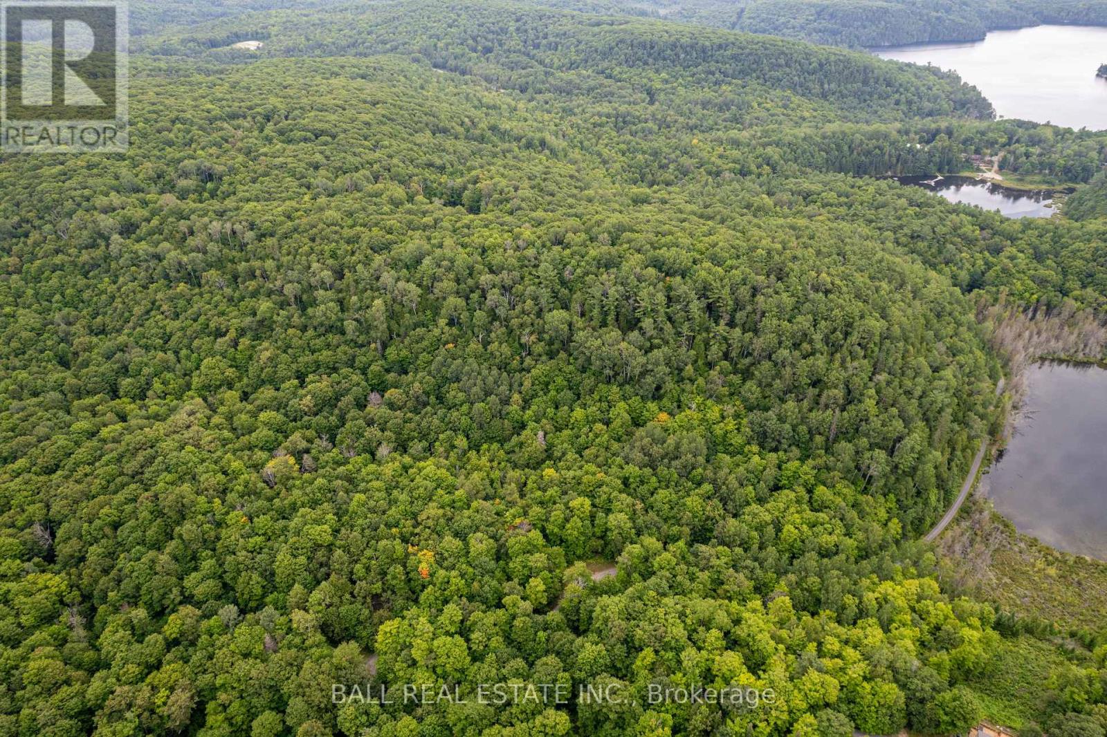 237 West Bay Lane, Bancroft, Ontario  K0L 1C0 - Photo 21 - X6768598