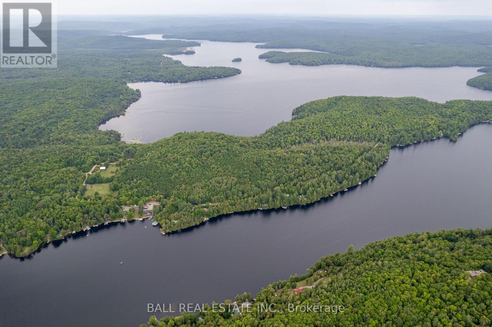 237 West Bay Lane, Bancroft, Ontario  K0L 1C0 - Photo 3 - X6768598