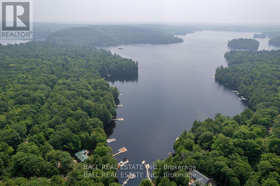 1207 Anst Lake Wao, North Kawartha, Ontario  K0L 1A0 - Photo 11 - X8108314