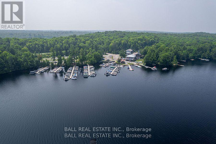 1207 Anst Lake Wao, North Kawartha, Ontario  K0L 1A0 - Photo 15 - X8108314