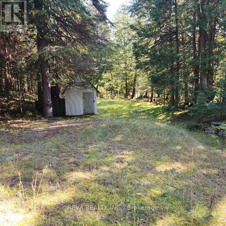 267 Bradshaw Road, Bancroft, Ontario  K0L 1C0 - Photo 11 - X8129478