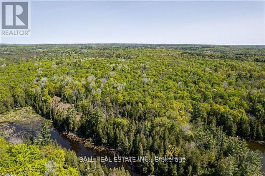 0 Johnson Road, North Kawartha, Ontario  K0L 1A0 - Photo 14 - X8184048