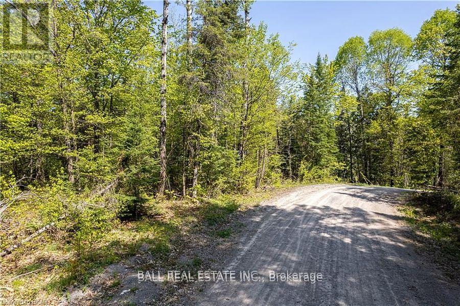 0 Johnson Road, North Kawartha, Ontario  K0L 1A0 - Photo 3 - X8184048