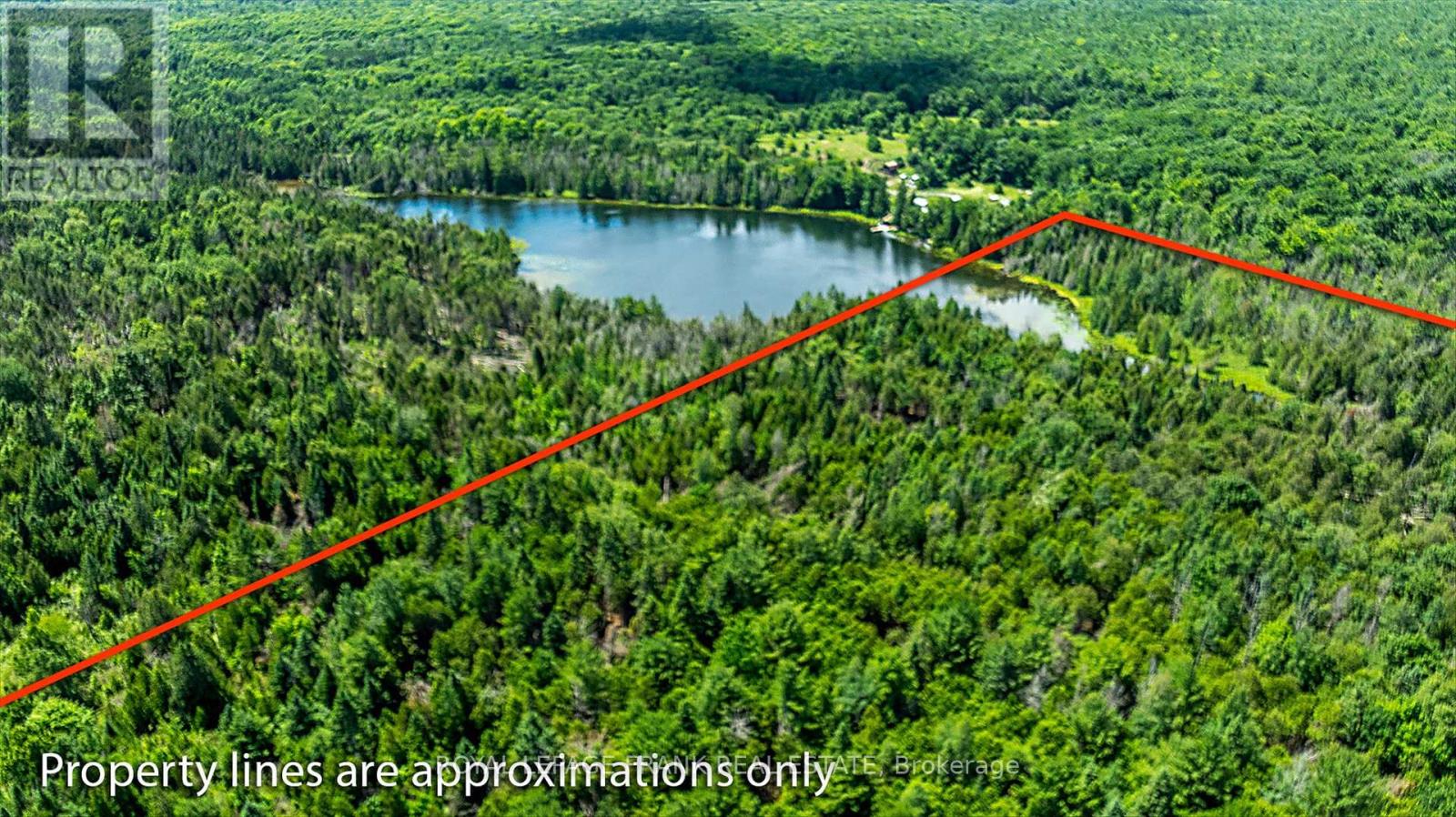 0 Patterson Road, Douro-Dummer, Ontario  K0L 2H0 - Photo 11 - X8225948