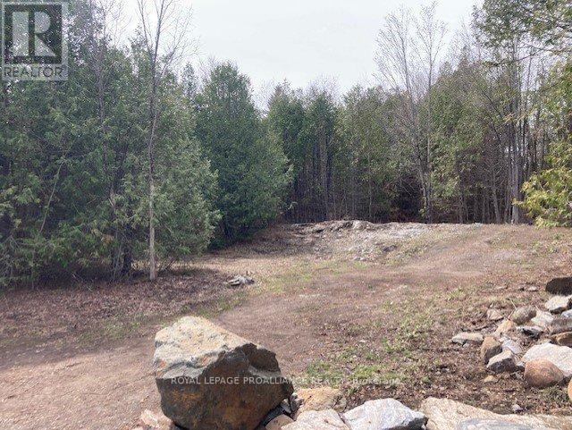 Lot 2 Vansickle Road N, Havelock-Belmont-Methuen, Ontario  K0L 0A7 - Photo 5 - X8265154