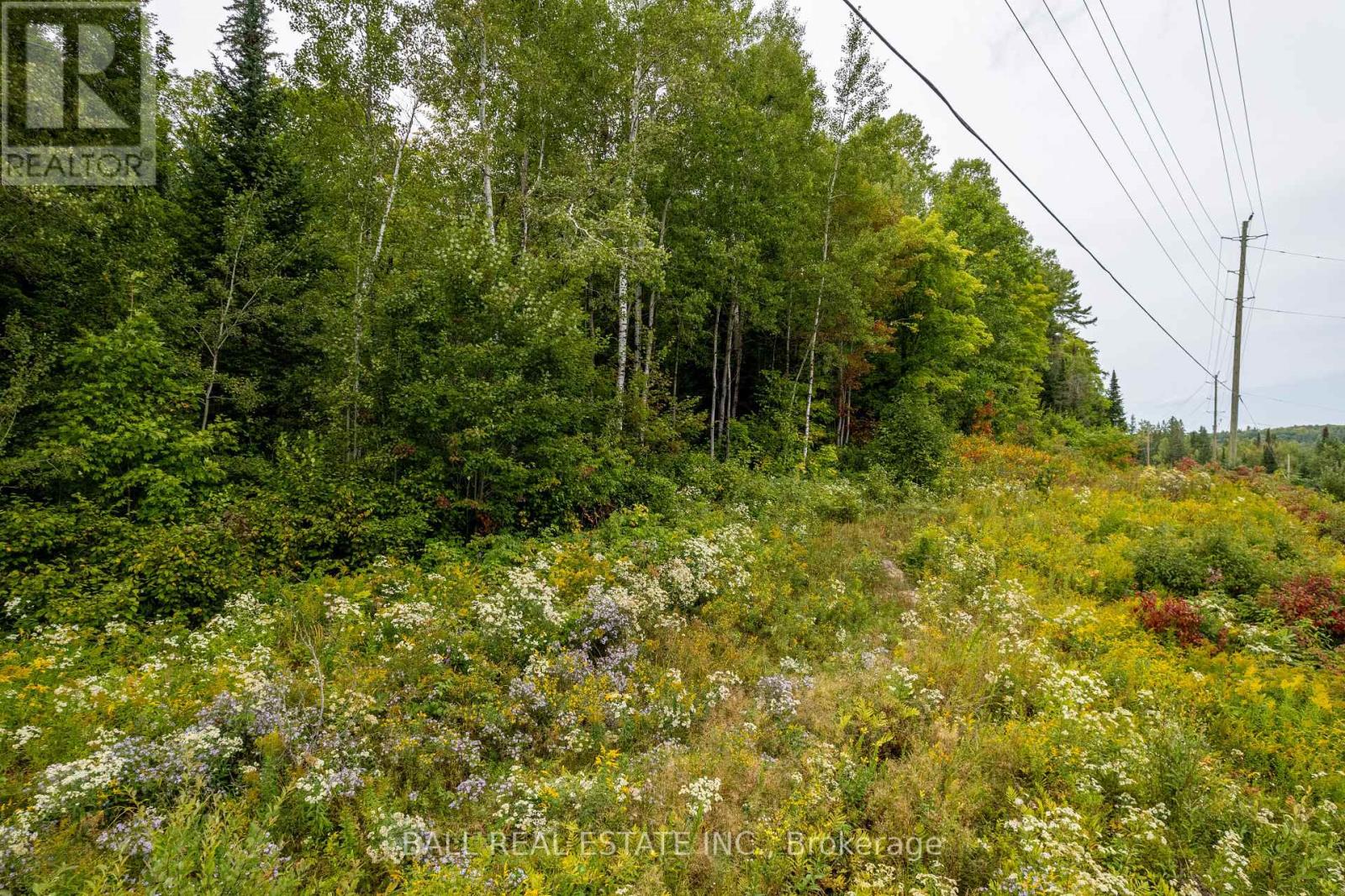 Lot 29 Highway 62 W, Hastings Highlands, Ontario  K0L 1C0 - Photo 15 - X8289666