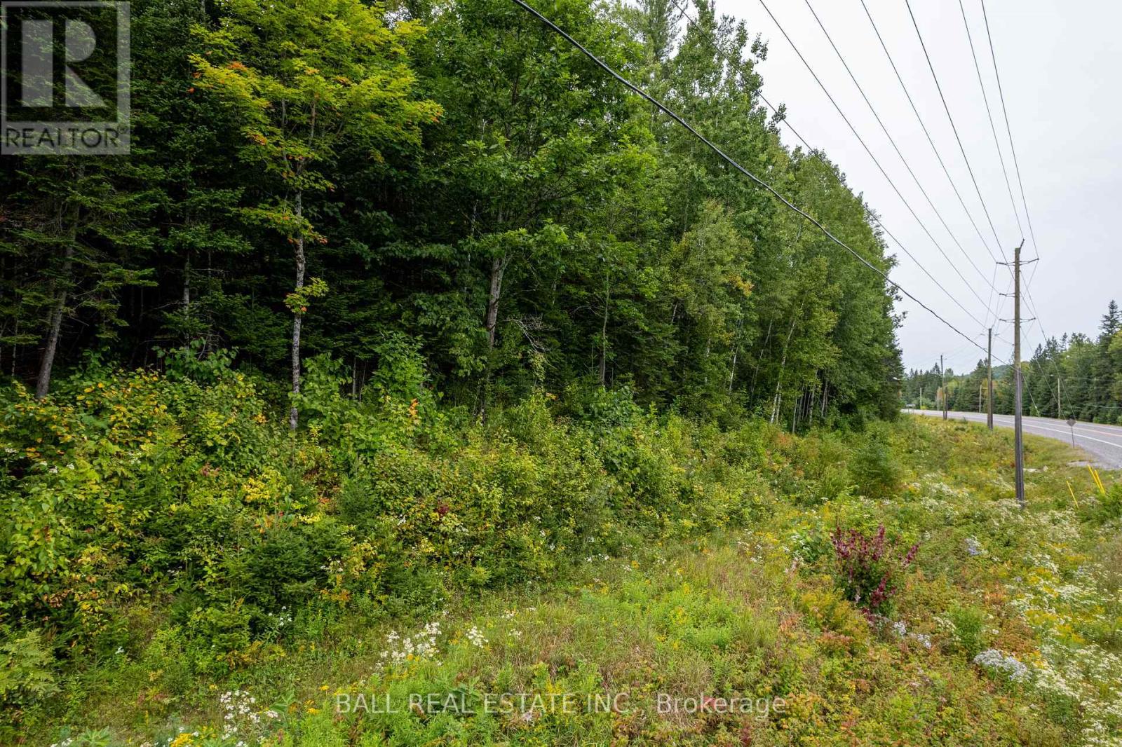 Lot 29 Highway 62 W, Hastings Highlands, Ontario  K0L 1C0 - Photo 16 - X8289666