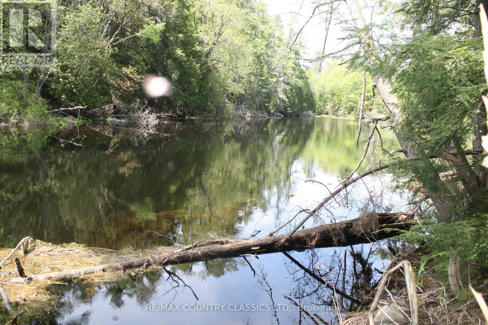 00 Betty Lane, Wollaston, Ontario  K0L 1P0 - Photo 2 - X8350682