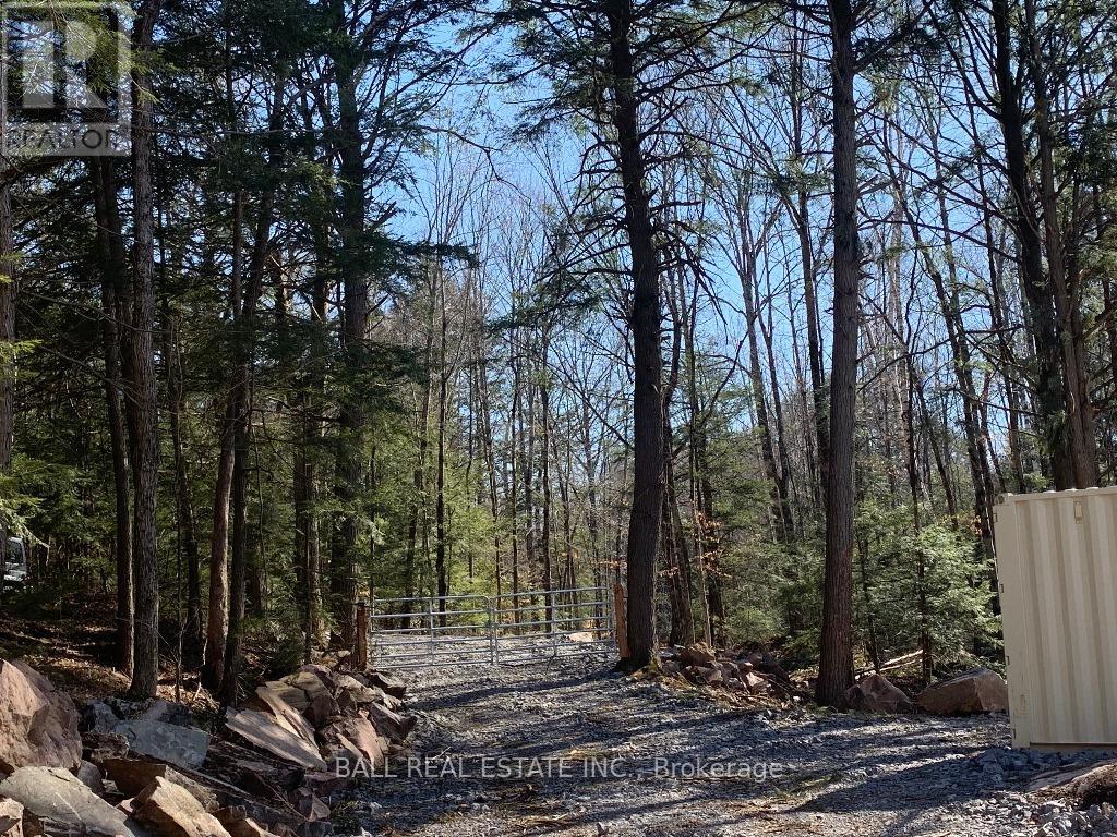 Part 21 Fire Route 67 Road, Havelock-Belmont-Methuen, Ontario  K0L 1Z0 - Photo 15 - X8359978