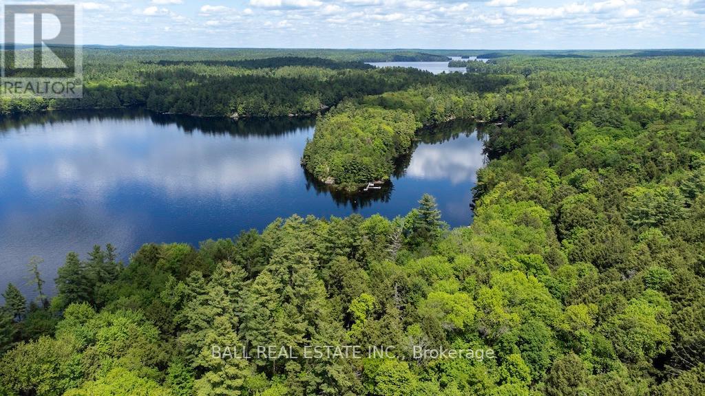 0 Blade Island, Galway-Cavendish And Harvey, Ontario  K0L 1J0 - Photo 10 - X8376806