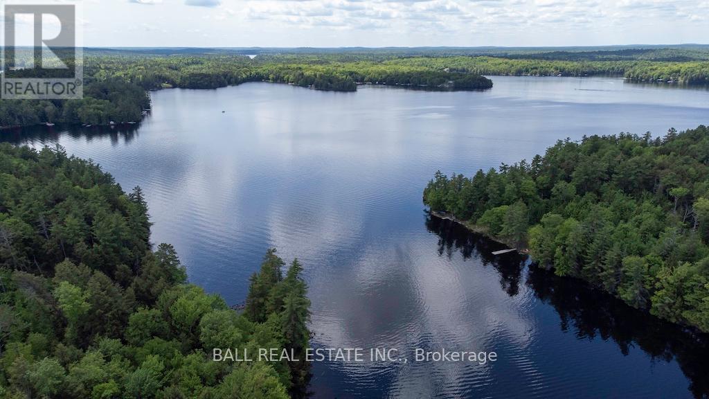 0 Blade Island, Galway-Cavendish And Harvey, Ontario  K0L 1J0 - Photo 9 - X8376806