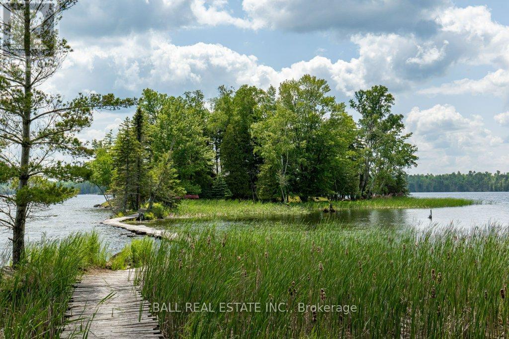 40 Fire Route 89e, Havelock-Belmont-Methuen, Ontario  K0L 1A0 - Photo 6 - X8391344