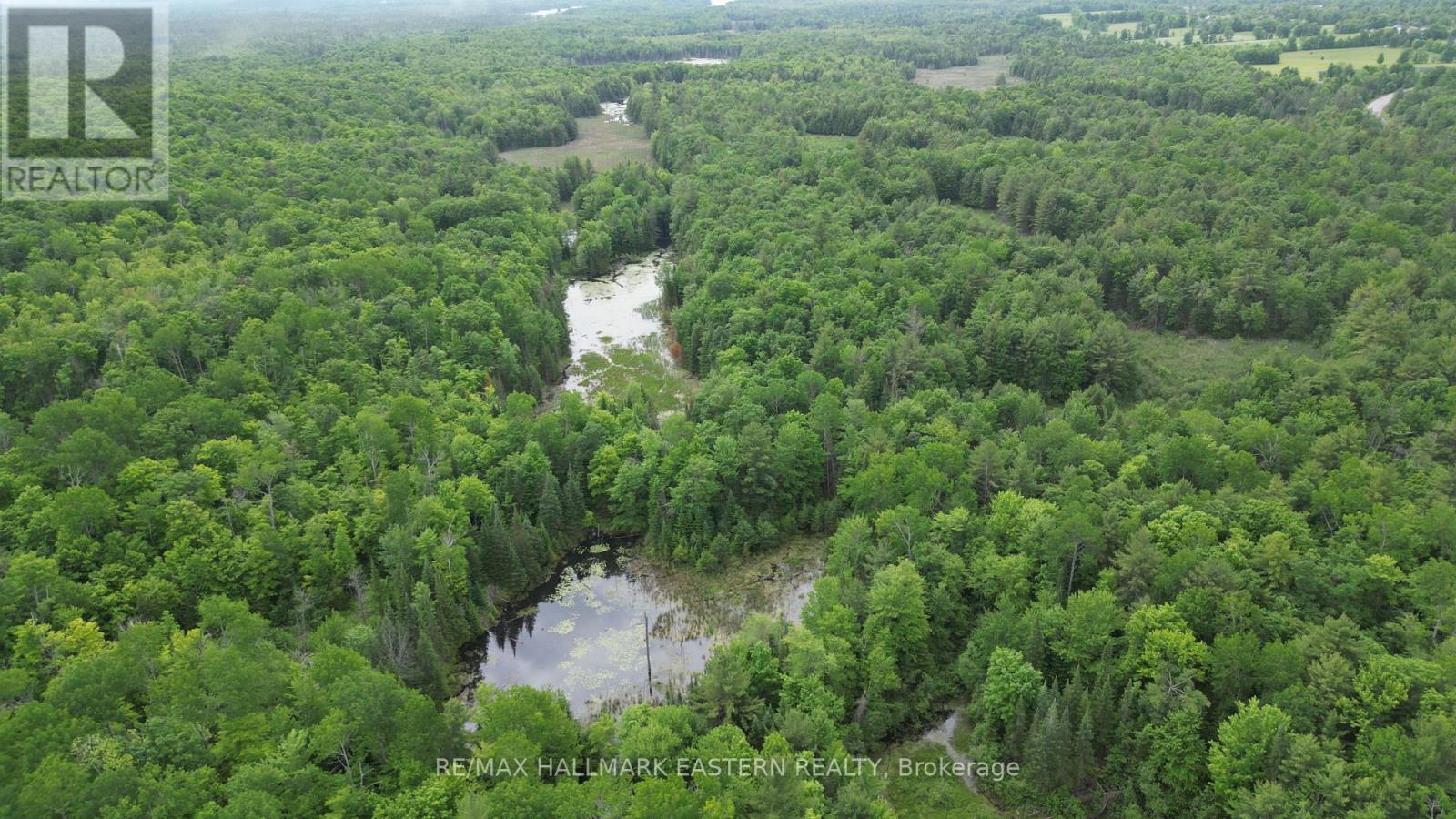 N/a County Road 46, Havelock-Belmont-Methuen, Ontario  K0L 1Z0 - Photo 10 - X8424014