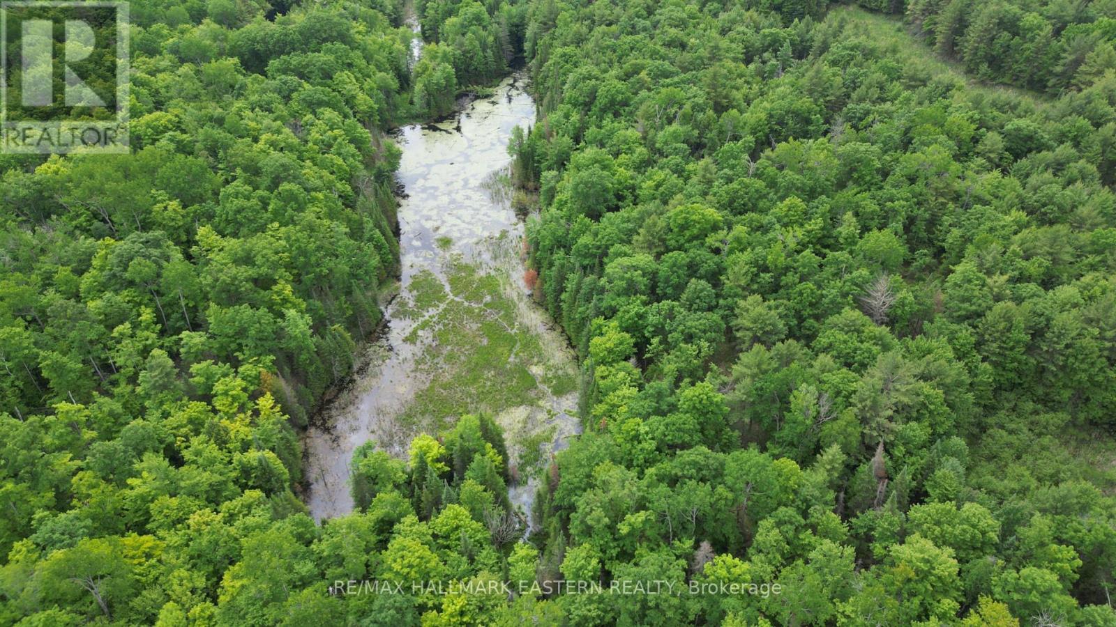 N/a County Road 46, Havelock-Belmont-Methuen, Ontario  K0L 1Z0 - Photo 11 - X8424014