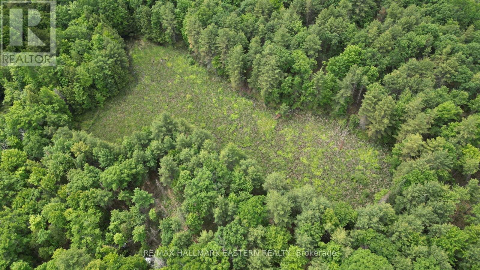 N/a County Road 46, Havelock-Belmont-Methuen, Ontario  K0L 1Z0 - Photo 12 - X8424014