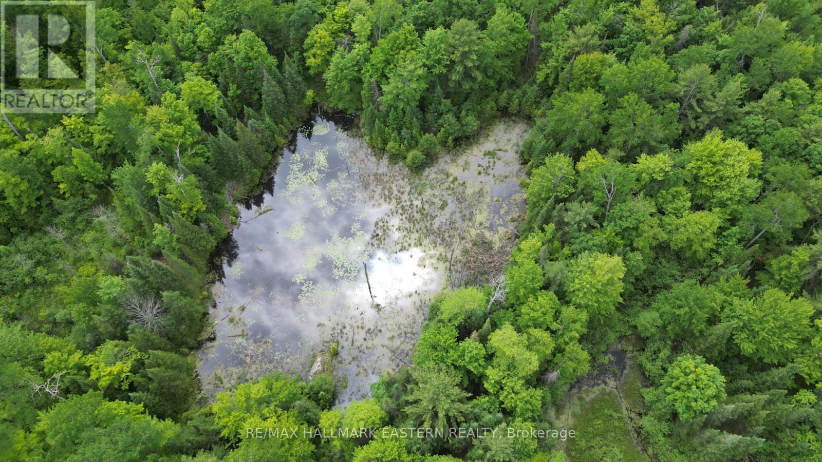 N/a County Road 46, Havelock-Belmont-Methuen, Ontario  K0L 1Z0 - Photo 2 - X8424014