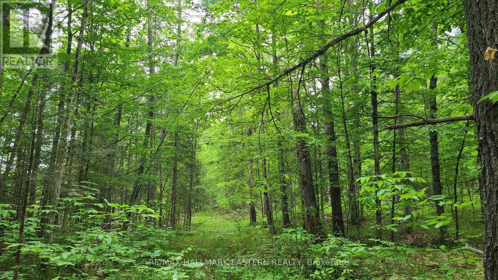 N/a County Road 46, Havelock-Belmont-Methuen, Ontario  K0L 1Z0 - Photo 6 - X8424014