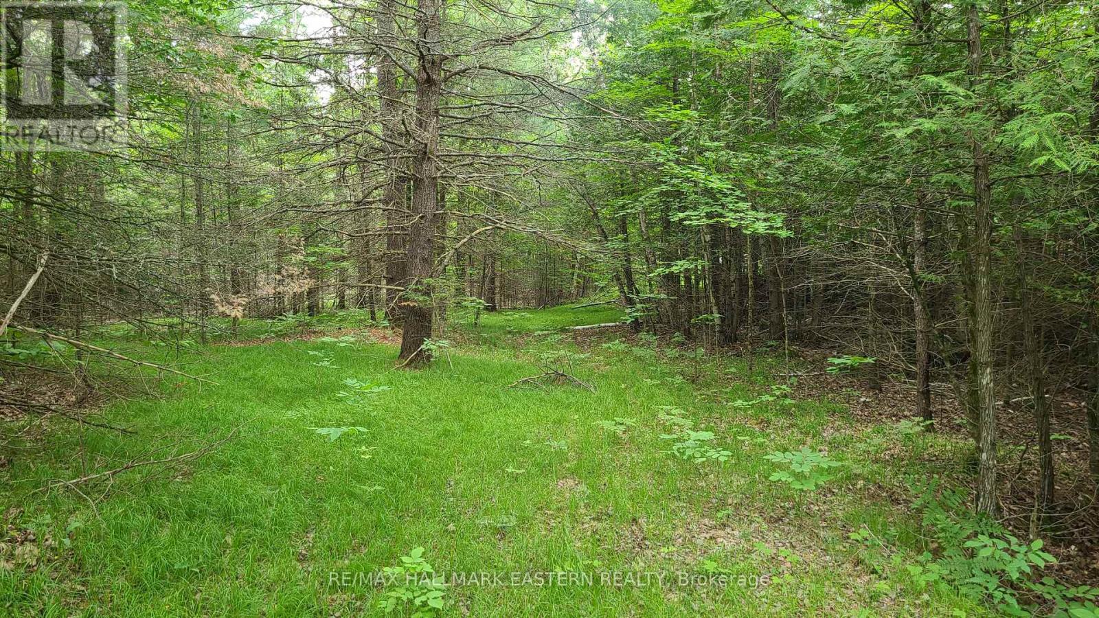 N/a County Road 46, Havelock-Belmont-Methuen, Ontario  K0L 1Z0 - Photo 7 - X8424014