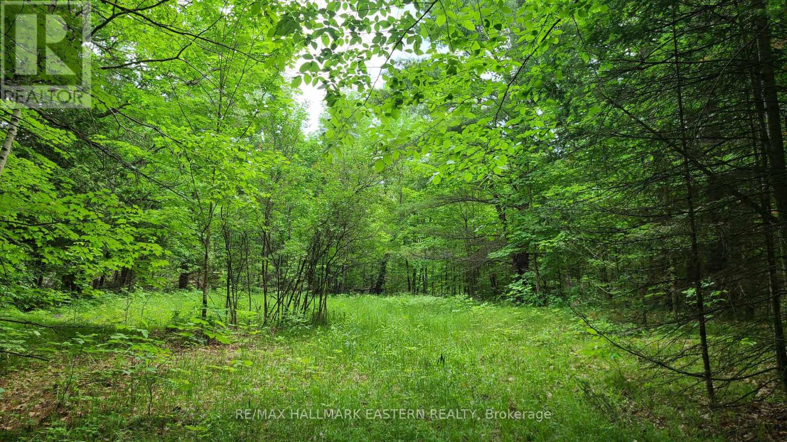 N/a County Road 46, Havelock-Belmont-Methuen, Ontario  K0L 1Z0 - Photo 8 - X8424014