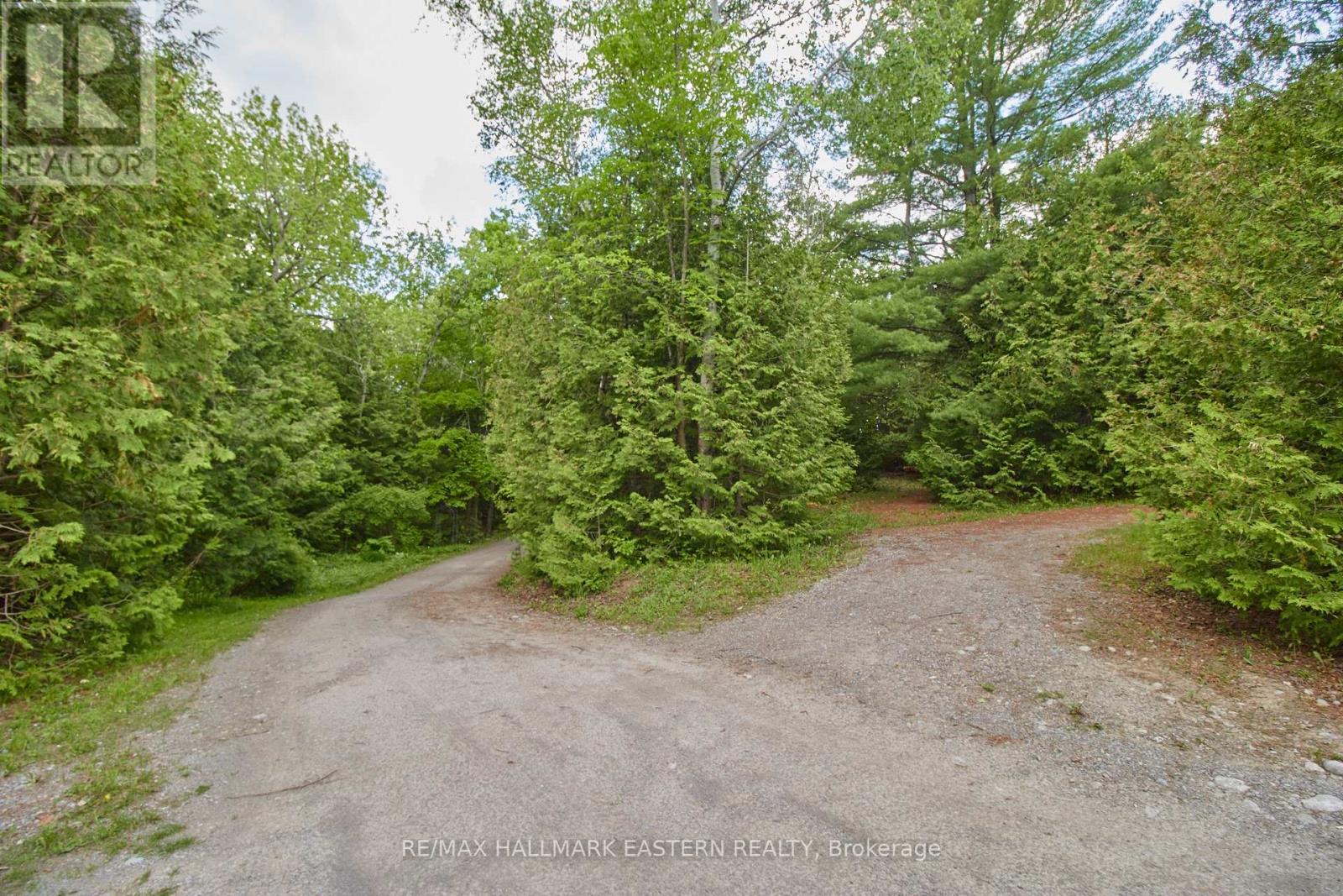 664 Syer Line, Cavan Monaghan, Ontario  K0L 1V0 - Photo 13 - X8428338