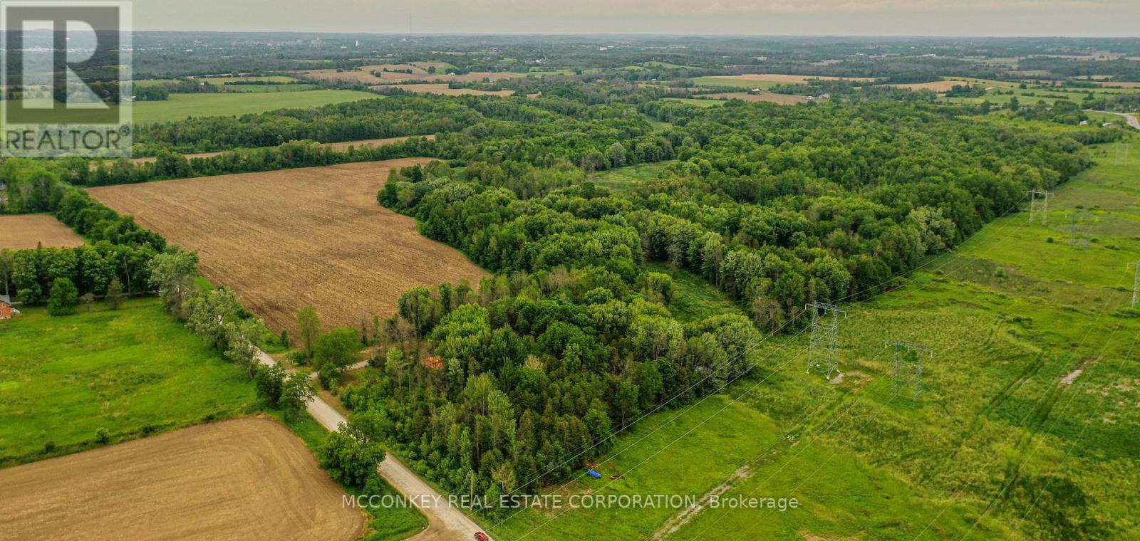 3632 Wallace Point Road, Otonabee-South Monaghan, Ontario  K9J 0E4 - Photo 10 - X8438012