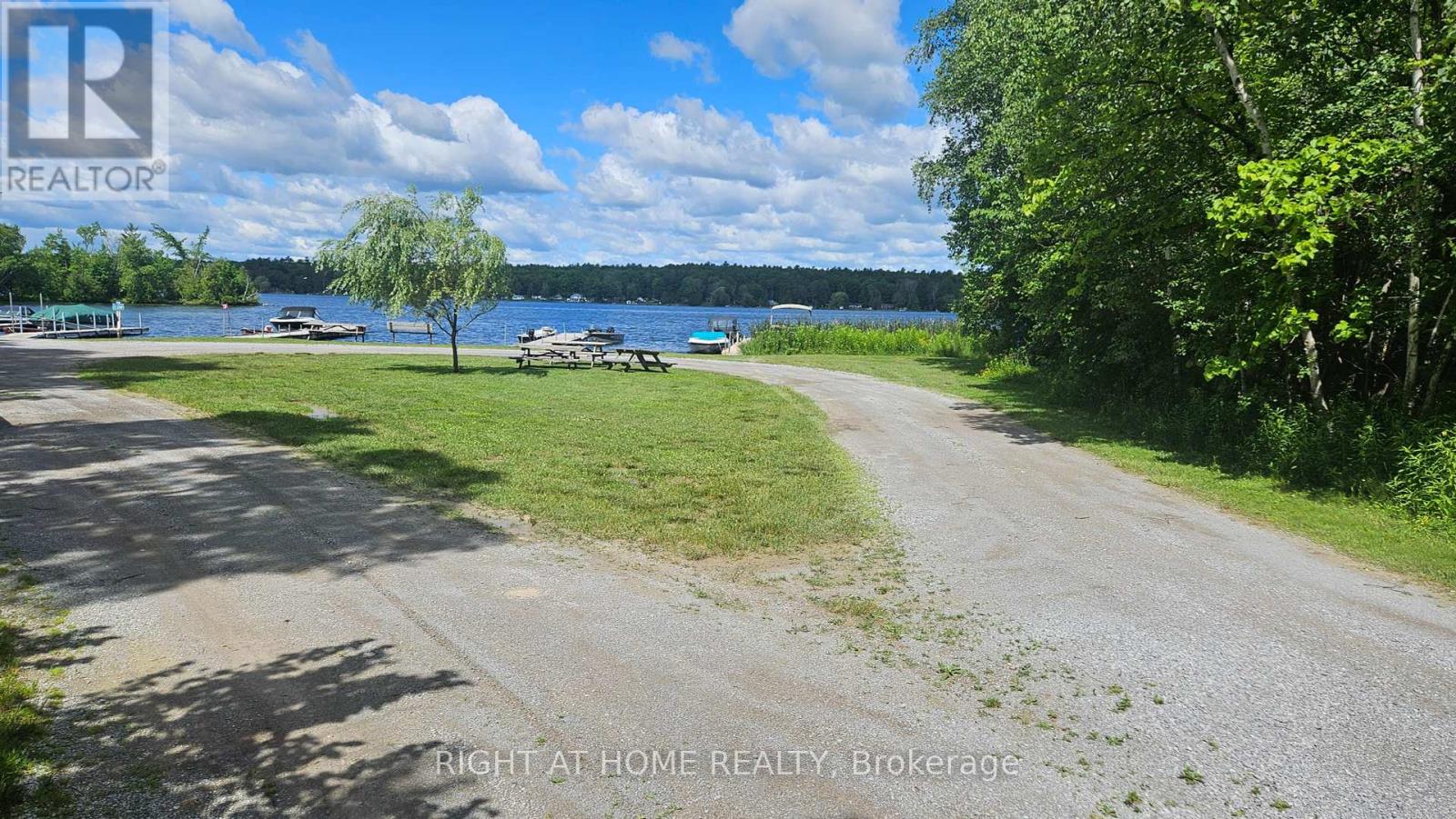 2905 Antelope Trail, Smith-Ennismore-Lakefield, Ontario  K0L 2H0 - Photo 5 - X8477484