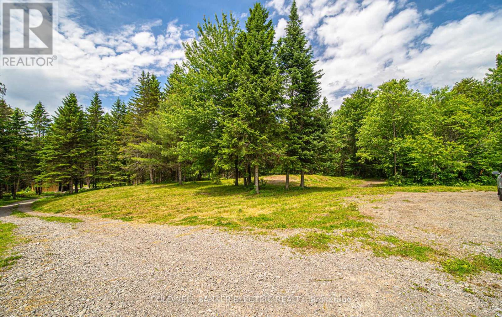 1609 County Rd 504, North Kawartha, Ontario  K0L 1A0 - Photo 15 - X9011105