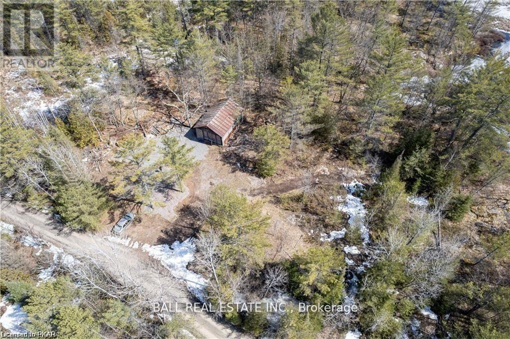 3 Fire Route 81, Galway-Cavendish And Harvey, Ontario  K0L 1J0 - Photo 7 - X9016033