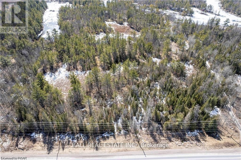 3 Fire Route 81, Galway-Cavendish And Harvey, Ontario  K0L 1J0 - Photo 9 - X9016033