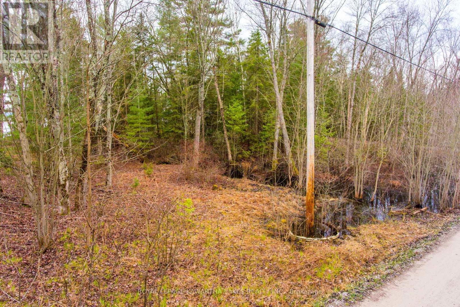 Lt 25 Woodworth Drive, Kawartha Lakes, Ontario  K9V 4Y4 - Photo 16 - X9035746