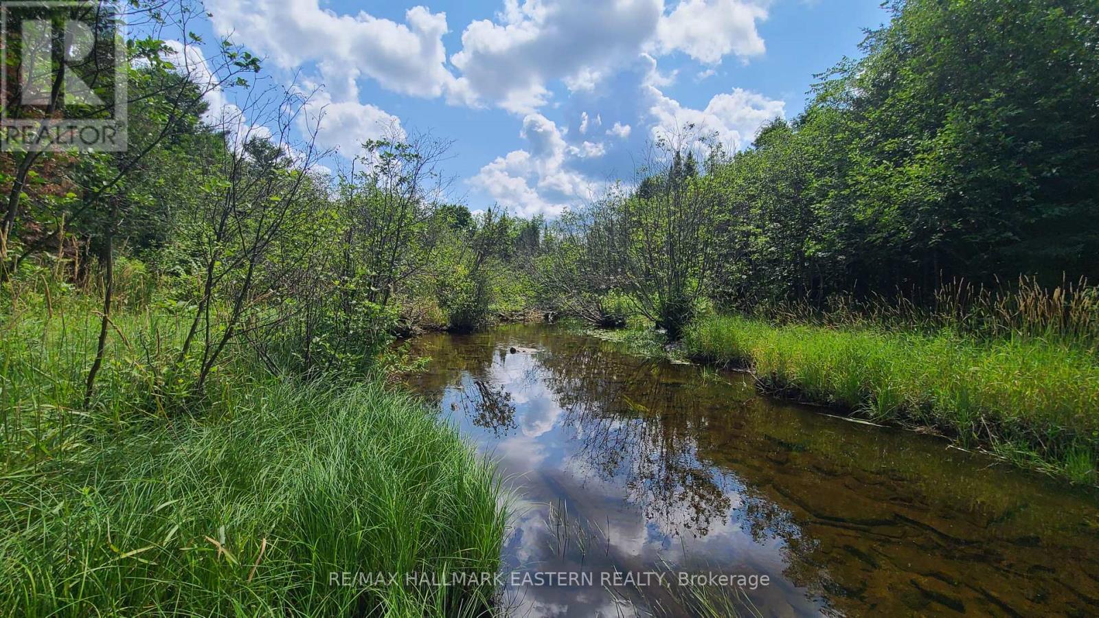 N/a Keating Road N, Havelock-Belmont-Methuen, Ontario  K0L 1Z0 - Photo 10 - X9039334