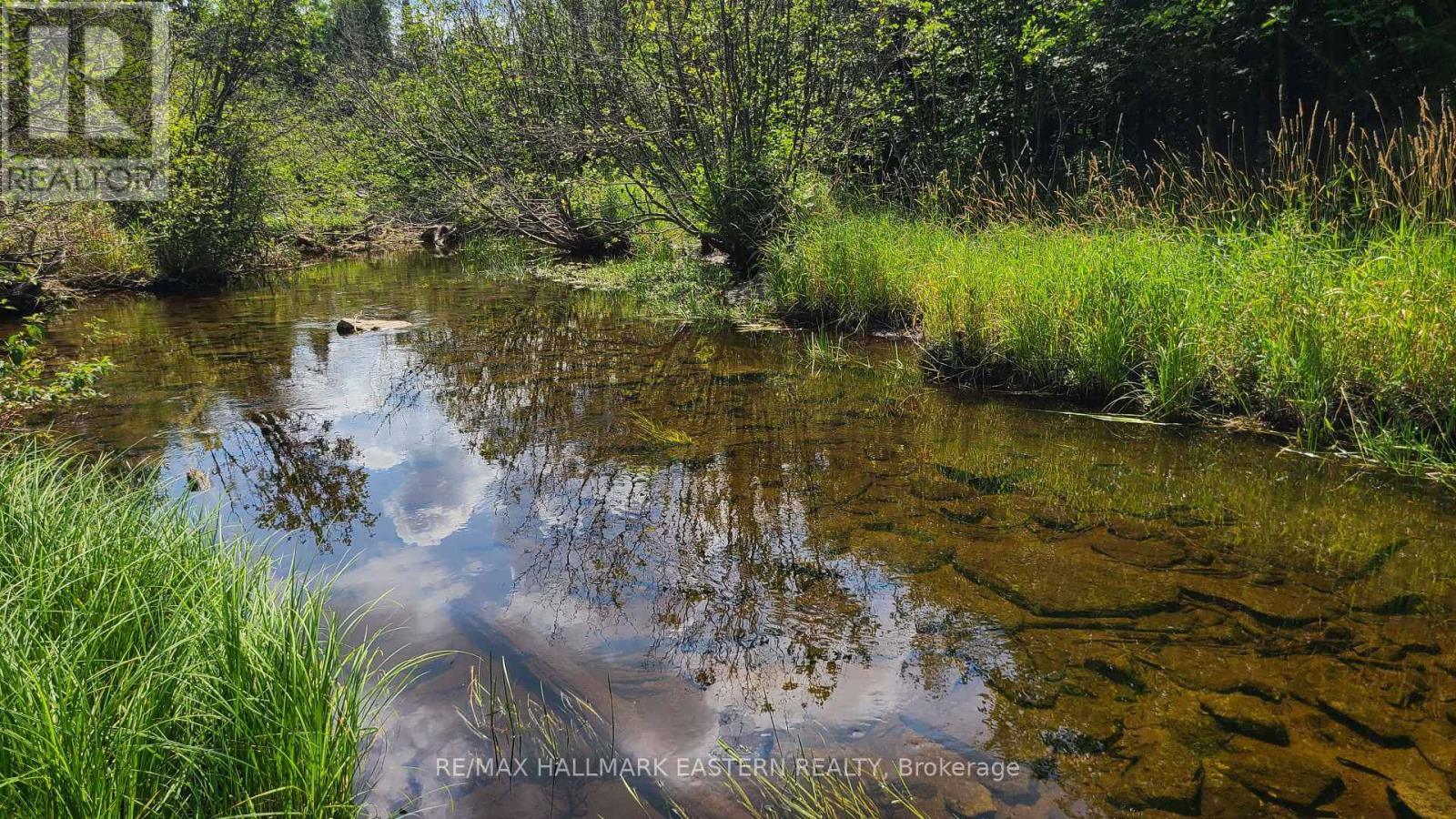 N/a Keating Road N, Havelock-Belmont-Methuen, Ontario  K0L 1Z0 - Photo 7 - X9039334