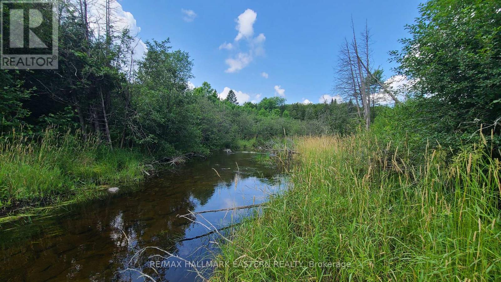 N/a Keating Road N, Havelock-Belmont-Methuen, Ontario  K0L 1Z0 - Photo 9 - X9039334