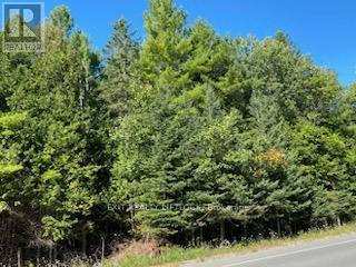 590 County Rd 40, Asphodel-Norwood (Norwood), Ontario  K0L 2V0 - Photo 3 - X9040220