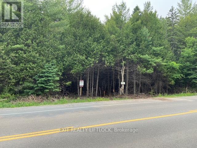 592 County Rd 40, Asphodel-Norwood (Norwood), Ontario  K0L 2V0 - Photo 4 - X9040221