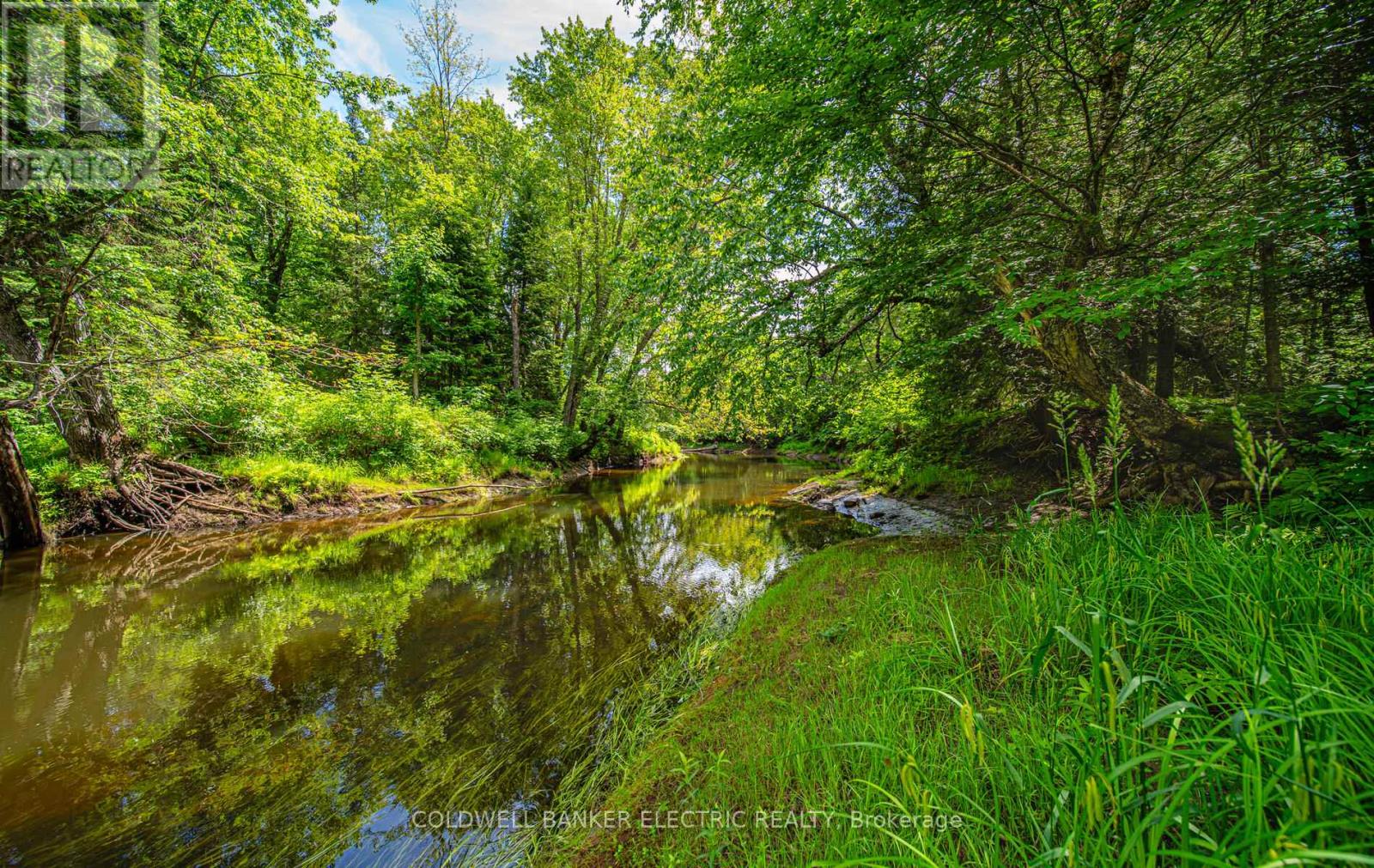 76 Jack White Road, North Kawartha, Ontario  K0L 1A0 - Photo 4 - X9040237