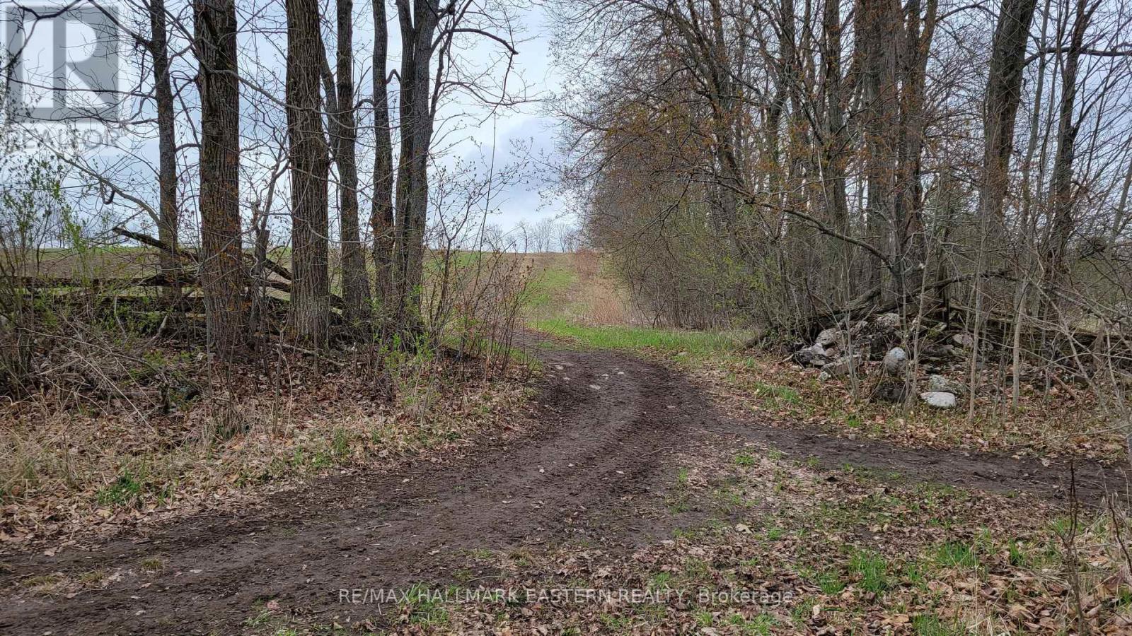 1737 Thirteenth Line, Smith-Ennismore-Lakefield, Ontario  K0L 2H0 - Photo 27 - X9046762