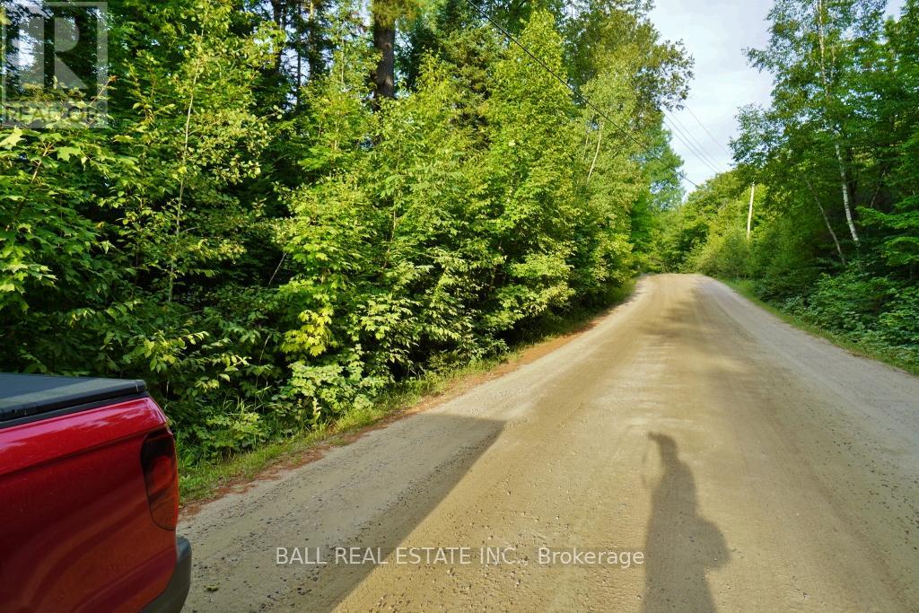 0 Glory Road, Bancroft, Ontario  K0L 1C0 - Photo 15 - X9054476