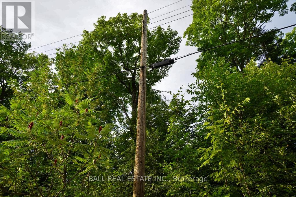 0 Glory Road, Bancroft, Ontario  K0L 1C0 - Photo 16 - X9054476