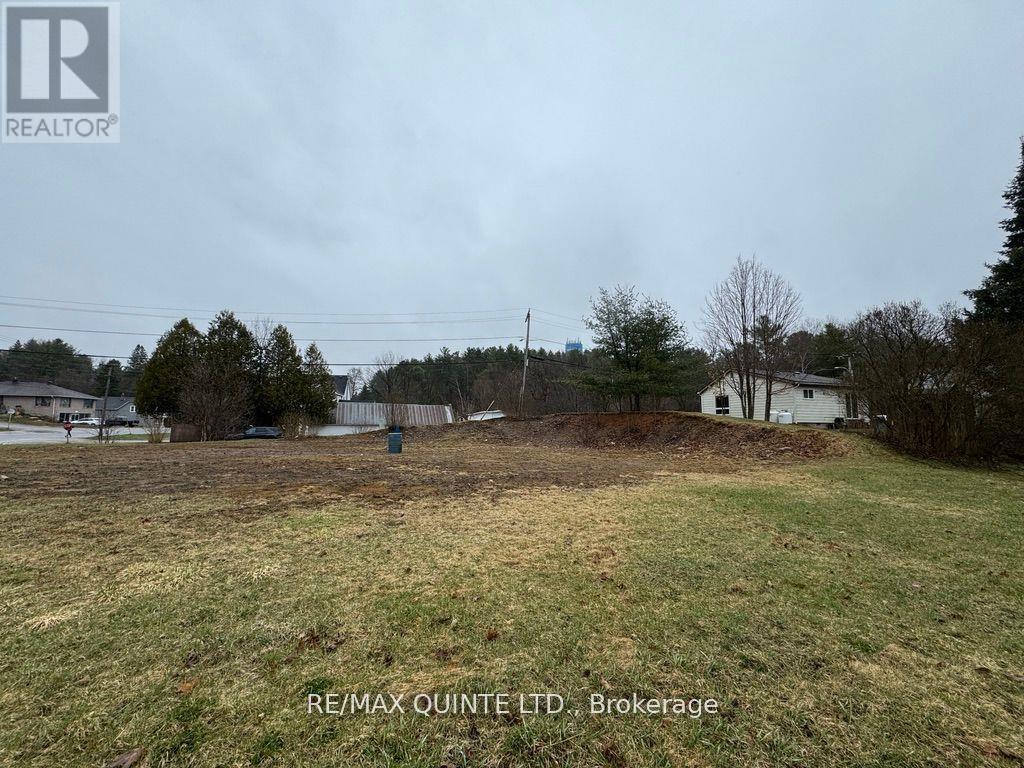 Pt 3&7 Billa Street, Bancroft, Ontario  K0L 1C0 - Photo 2 - X9230282