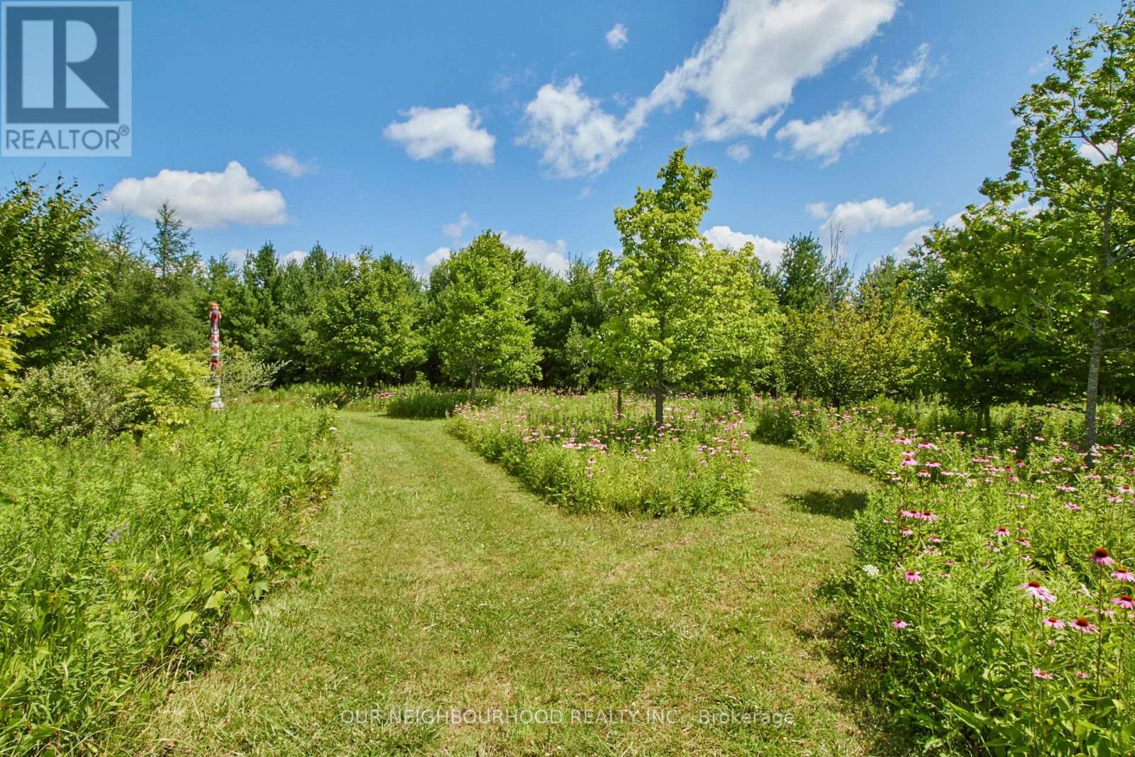 3088 Concession Road, Clarington, Ontario  L1B 1L9 - Photo 25 - E9230467