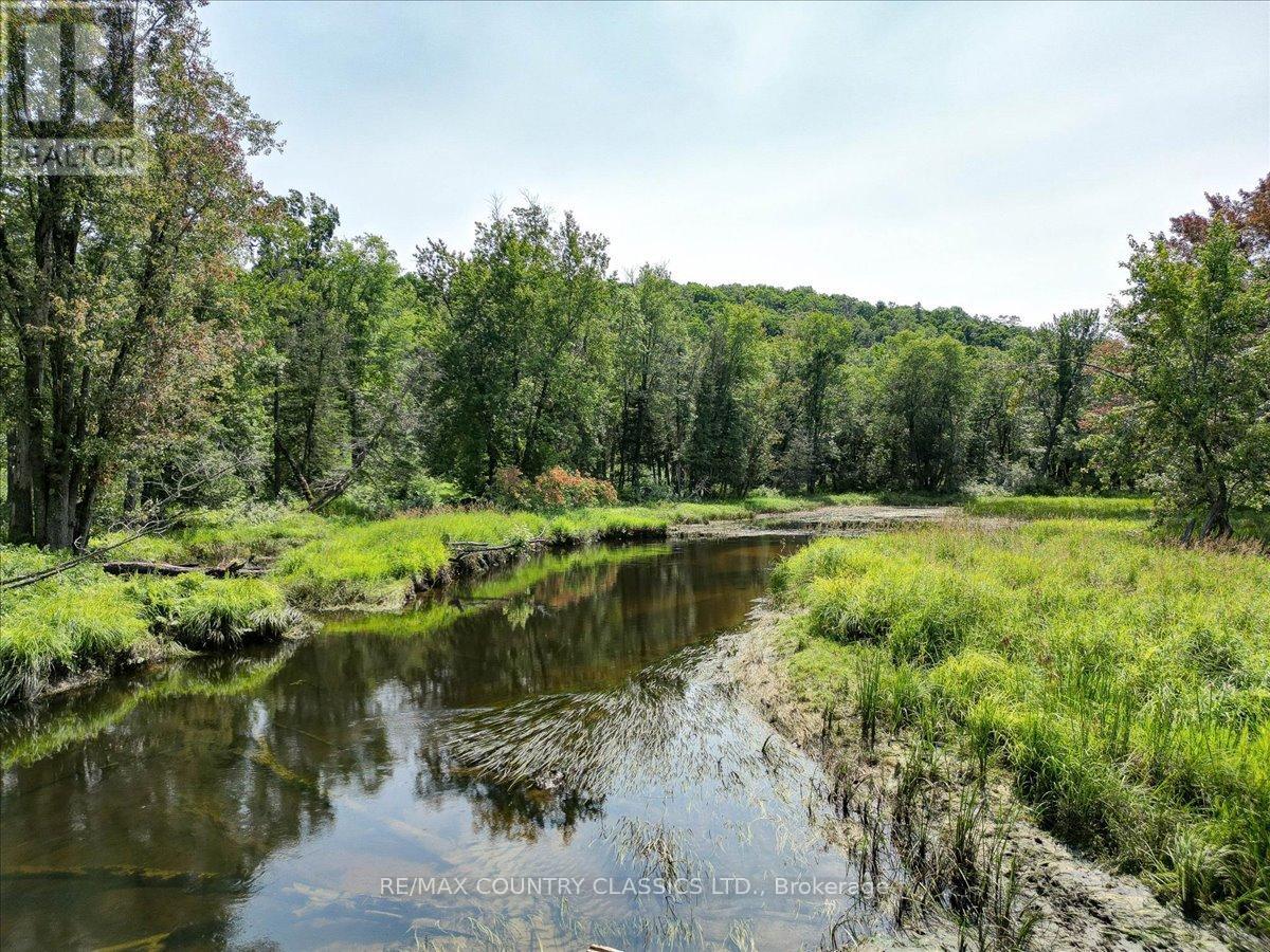 0 North Rusaw Road, North Kawartha, Ontario  K0L 1A0 - Photo 1 - X9233158