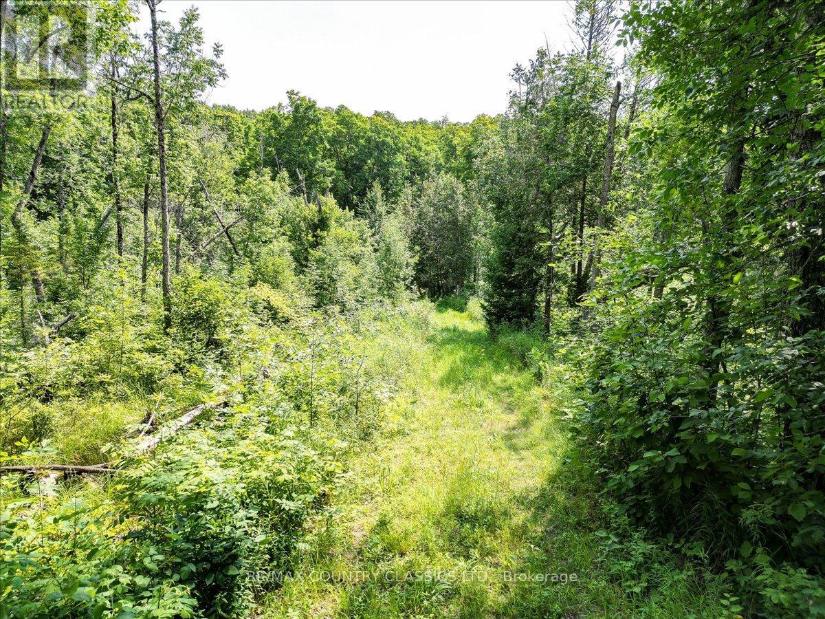 0 North Rusaw Road, North Kawartha, Ontario  K0L 1A0 - Photo 33 - X9233158