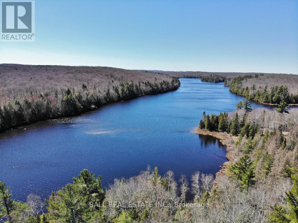 0 Chelmford Road, Highlands East, Ontario  K0L 1M0 - Photo 2 - X9234895