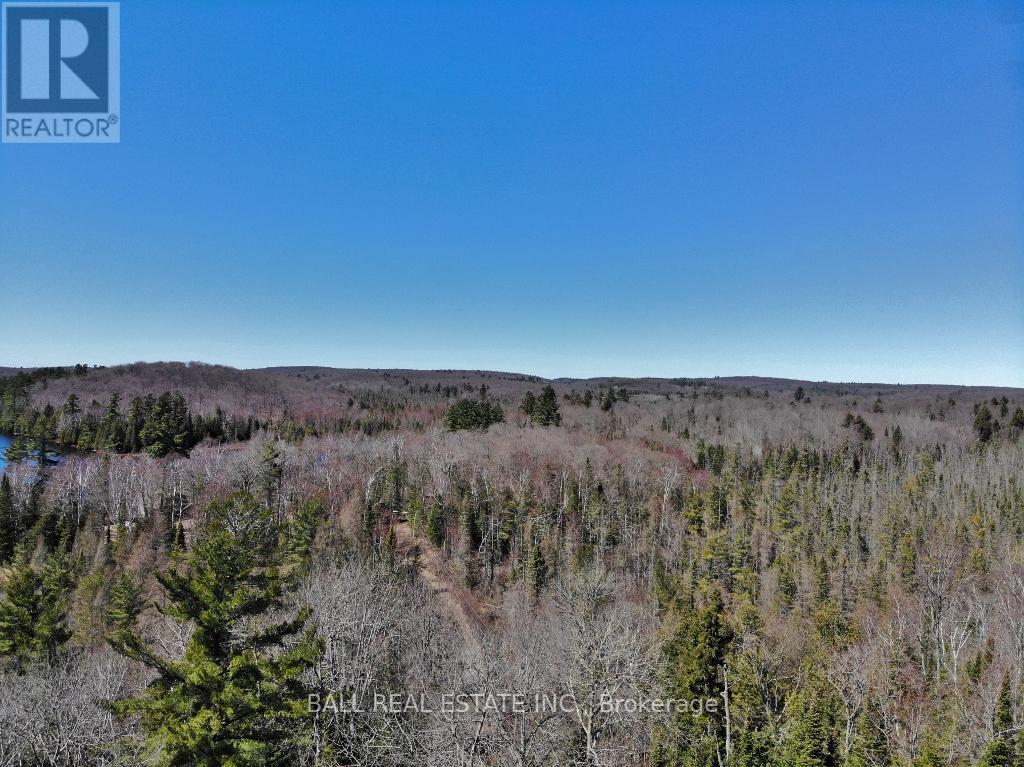 0 Chelmford Road, Highlands East, Ontario  K0L 1M0 - Photo 3 - X9234895