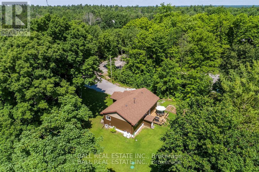 69 Mount Julian-Viamede Road, North Kawartha, Ontario  K0L 3G0 - Photo 31 - X9236180