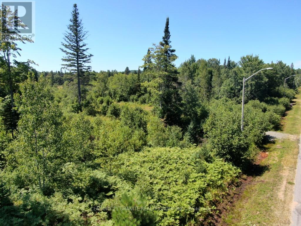 Lot 21 Plan 21m216 Drive, Bancroft, Ontario  K0L 1C0 - Photo 2 - X9245123