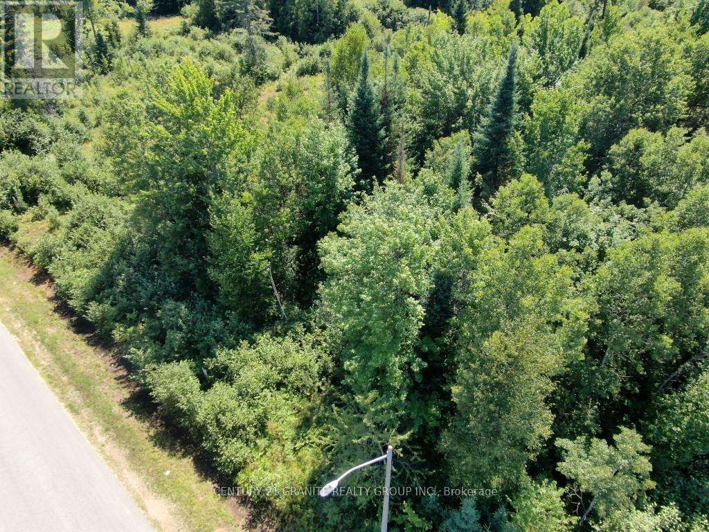 Lot 21 Plan 21m216 Drive, Bancroft, Ontario  K0L 1C0 - Photo 4 - X9245123